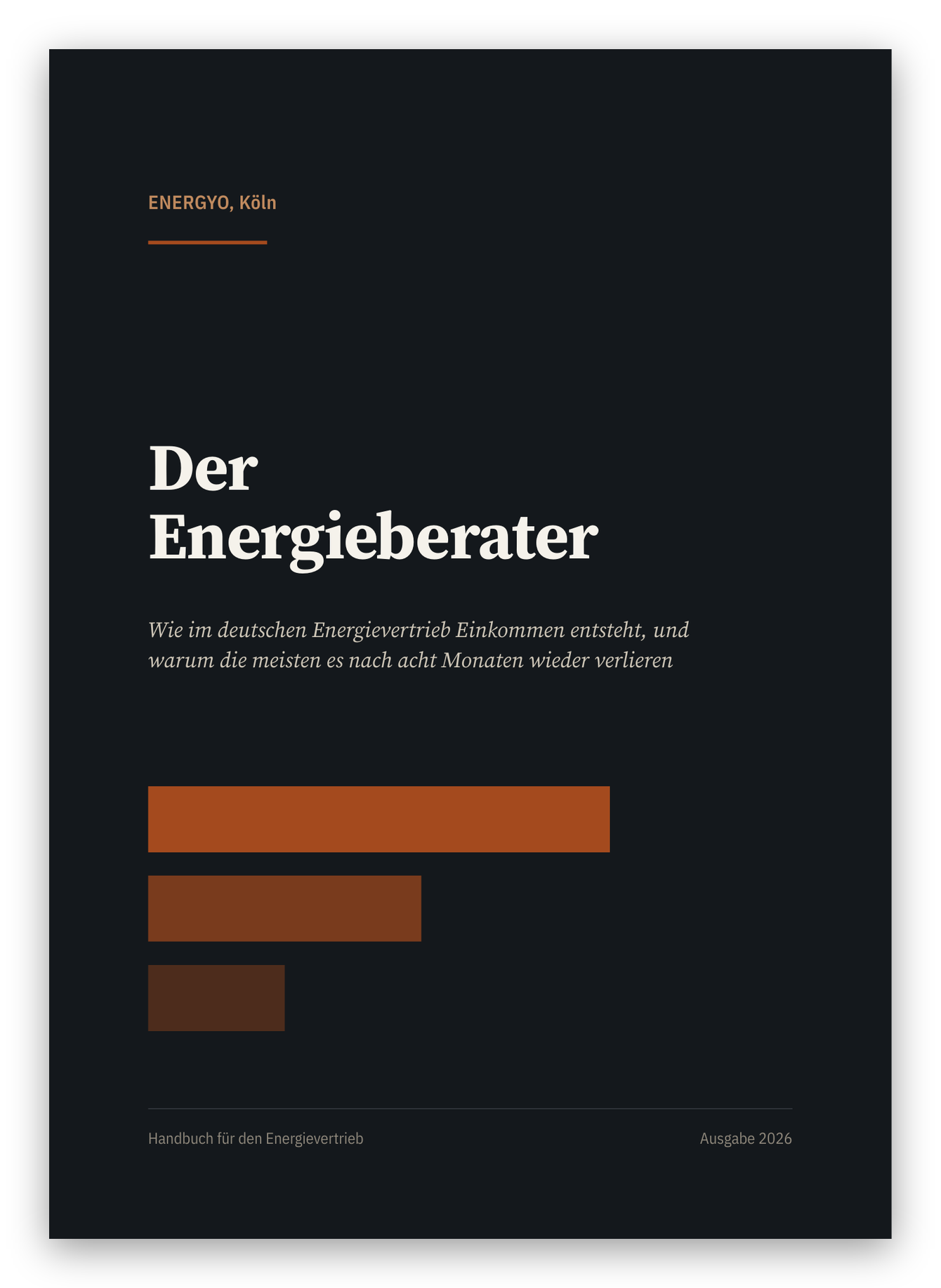 Cover: Der Energieberater